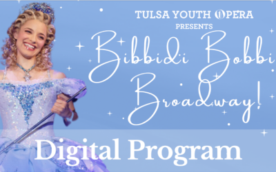 Bibbidi Bobbidi Broadway Digital Program