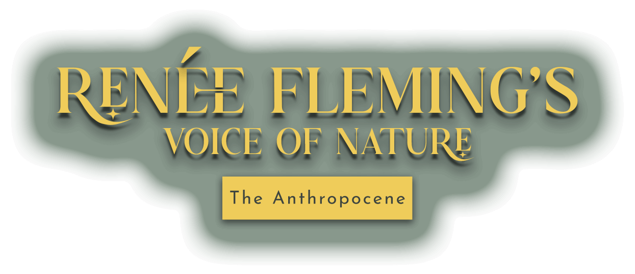 Renee Fleming - Voice of Nature. The Anthropocene